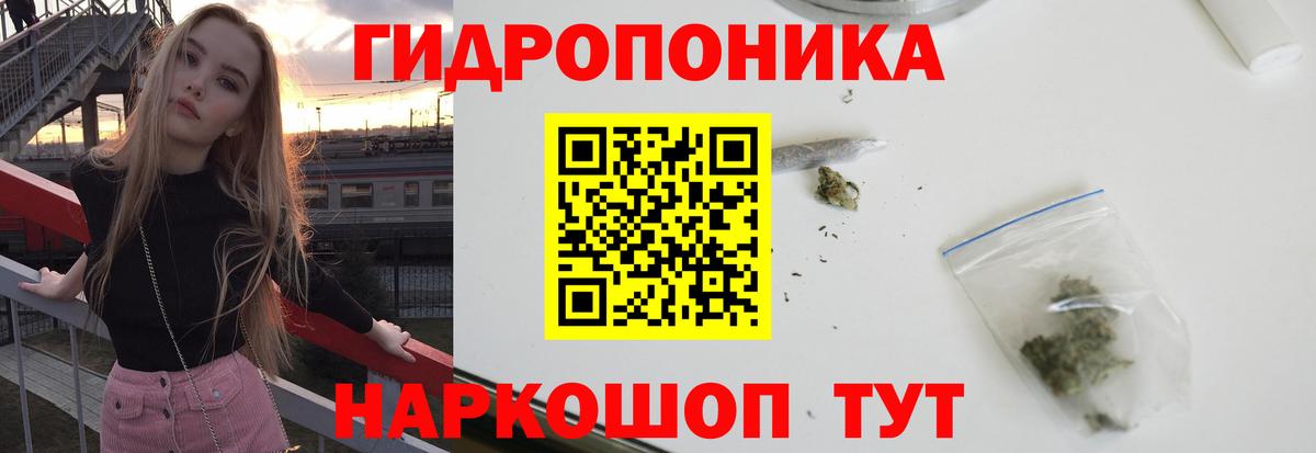 Бошки Шишки план  Конопля THC 21%  Вход с VPN  Бутурлиновка  Бошки Шишки White Widow 